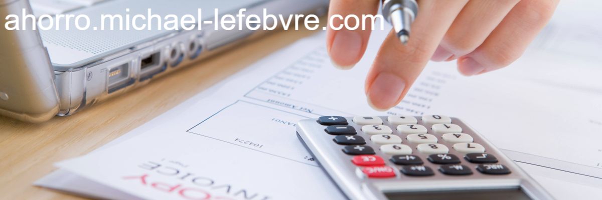 ahorro.michael-lefebvre.com